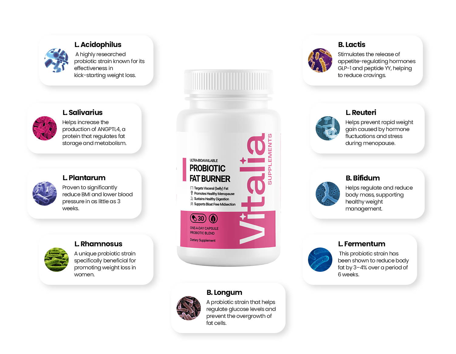 Probiotic Fat Burner